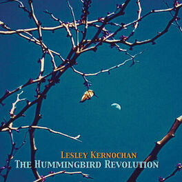 Album cover of The Hummingbird Revolution