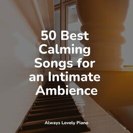 Album cover of 50 Best Calming Songs for an Intimate Ambience