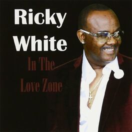 Album cover of In the Love Zone