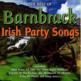 Album cover of The Best Of Irish Party Songs