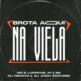 Album cover of Brota Aqui na Viela