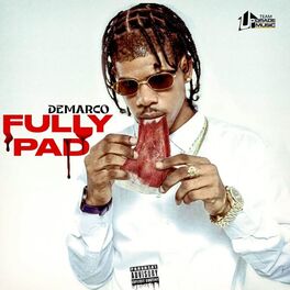 Album cover of Fully Pad