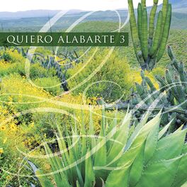 Album cover of Quiero Alabarte 3