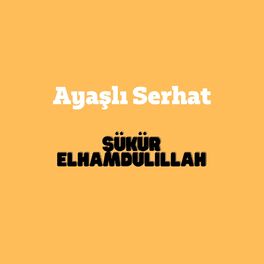 Album cover of Şükür Elhamdülillah