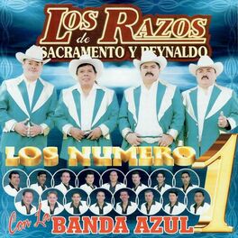 Album cover of Los Número 1