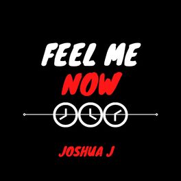 Album cover of Feel Me Now