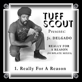 Album cover of Really for a Reason (Dubplate Mixes)
