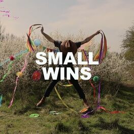 Album cover of Small Wins
