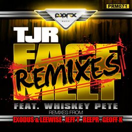Album cover of Face Melt Remixes