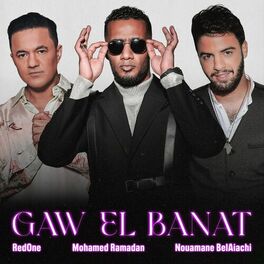 Album cover of Gaw El Banat