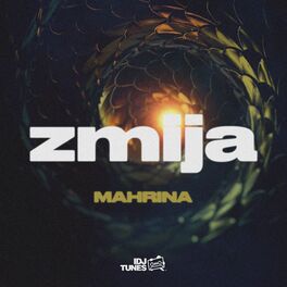 Album cover of Zmija