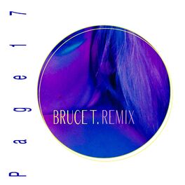Album cover of Page 17 (Bruce T. Remix)