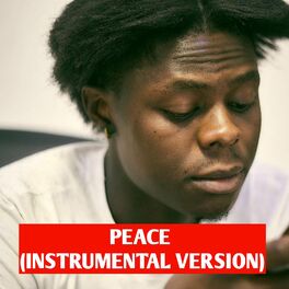 Album cover of Peace (Instrumental Version)