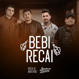 Album cover of Bebi Recai