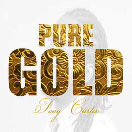 Album cover of Pure Gold -Tony Curtis