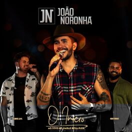 Album cover of O Início (Ao Vivo No Haras Beija-Flor)