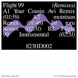 Album cover of Flight 99 (Remixes)