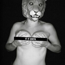 Album cover of It It Anita