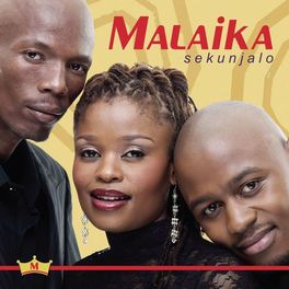 Album cover of Sekunjalo