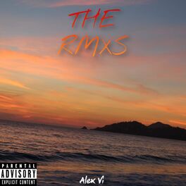 Album cover of The Rmxs