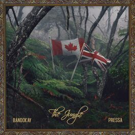 Album cover of The Jungle