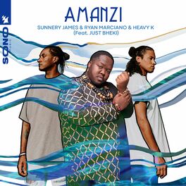 Album cover of Amanzi