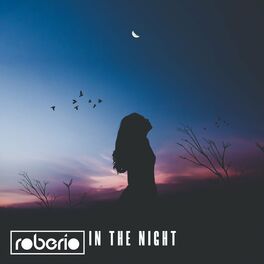Album cover of In The Night