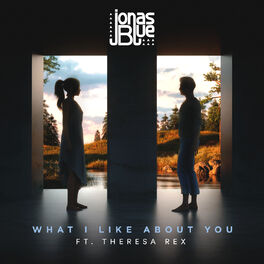 Album cover of What I Like About You