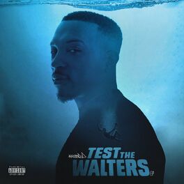 Album cover of Test the Walters