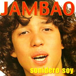 Album cover of Sonidero Soy