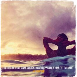 Album cover of In the Sun