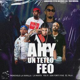 Album cover of Ahy Un Teteo Feo
