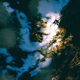 Album cover of Liminal