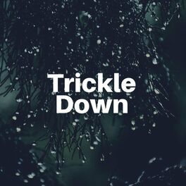 Album cover of Trickle Down