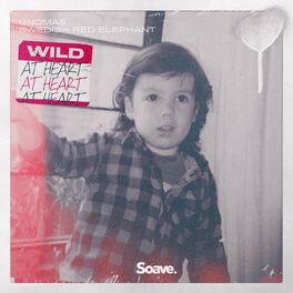Album cover of Wild At Heart