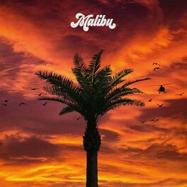 Album cover of Malibu