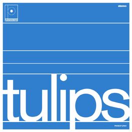 Album cover of Tulips