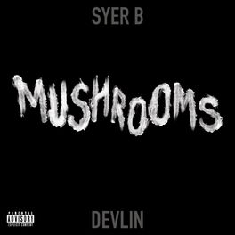 Album cover of Mushrooms