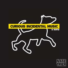 Album cover of Curious Incidental Music (A Suite)