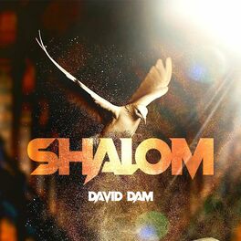 Elohim Adonai - David Dam (lyric video) 