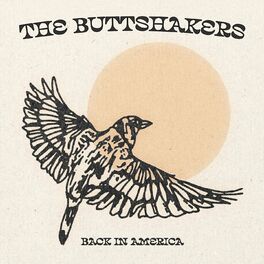 Album cover of Back in America