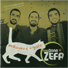 Album cover of Malandro É o Gato