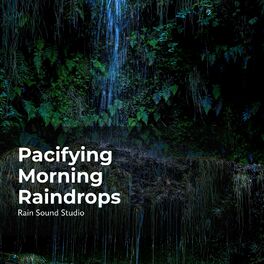Album cover of Pacifying Morning Raindrops