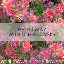 Album cover of Hello May with Tchaikovsky