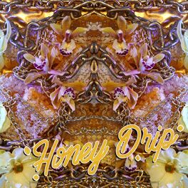 Album cover of Honey Drip