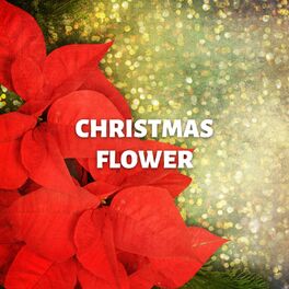 Album cover of Christmas Flower