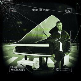 Album cover of Hausbesuch (Piano Version)