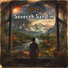 Album cover of Sevecek Sandım