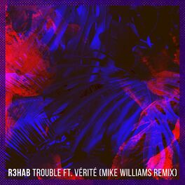 Album cover of Trouble (Mike Williams Remix)