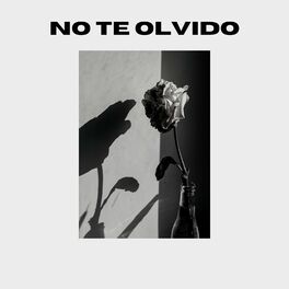 Album cover of No Te Olvido